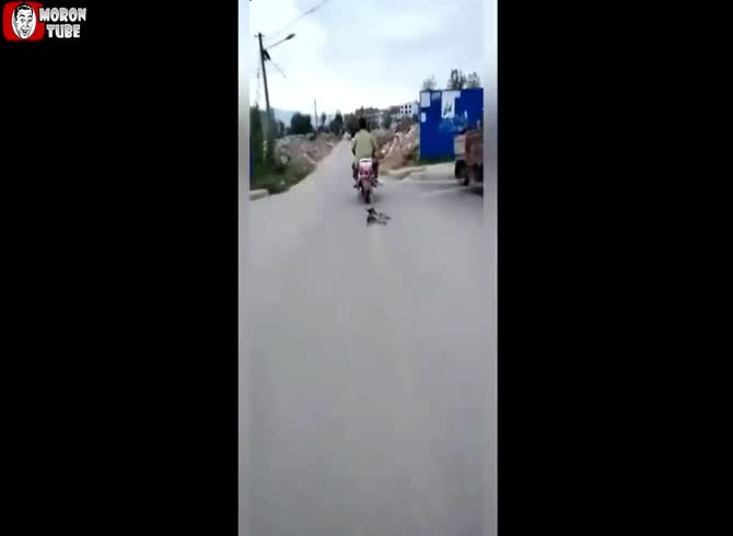 Video :China - he silently pulls a puppy behind his motorcycle